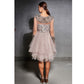 Nude Tulle Antique Yoke and Cuff Dress